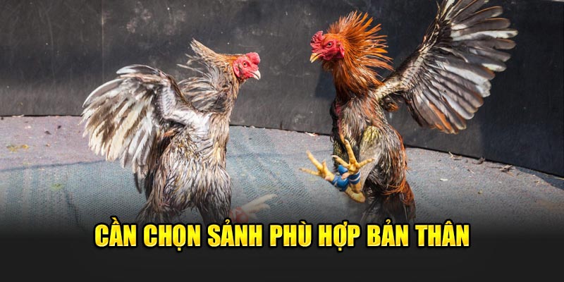 Cần chọn sảnh phù hợp trường hợp bản thân