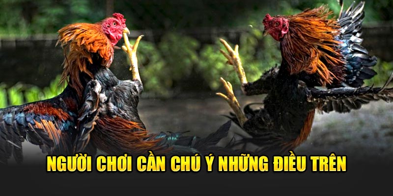 Hội viên nhất định cần chú ý những điều trên