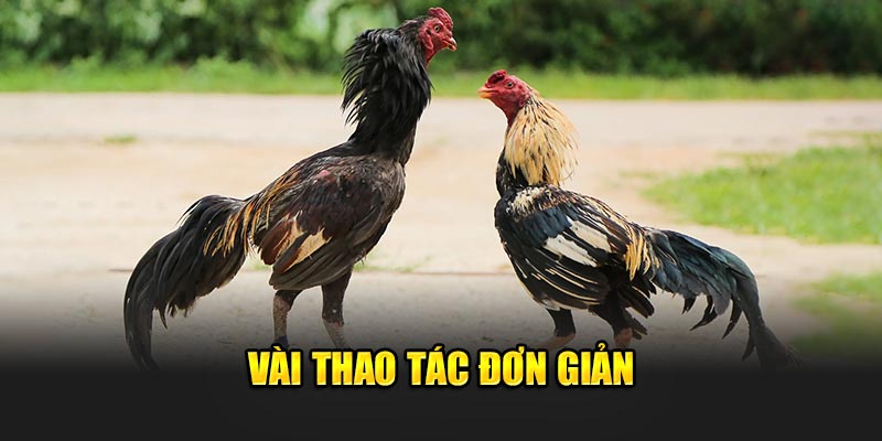 Vài thao tác đơn giản 